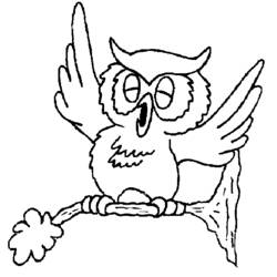 Coloriage Hibou battant des ailes sur une branche