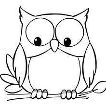 Hibou - Coloriages gratuits à imprimer