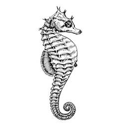 Coloriage Hippocampe à la queue enroulée