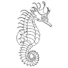Coloriage Hippocampe à la queue enroulée et crête décorative