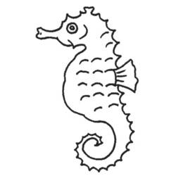 Coloriage Hippocampe à la queue enroulée