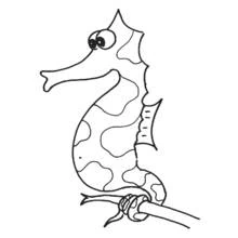 Coloriage Hippocampe enroulé autour d'une branche