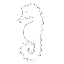 Coloriage Hippocampe à la queue enroulée