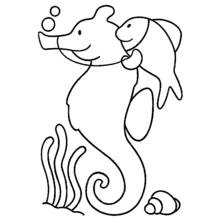 Coloriage Hippocampe et poisson près des algues