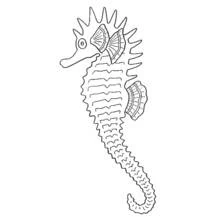 Coloriage Hippocampe à crête épineuse et queue enroulée