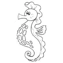 Coloriage Hippocampe à la queue enroulée