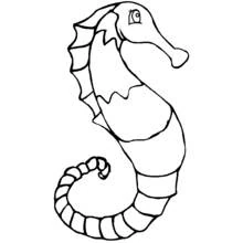 Coloriage Hippocampe à la queue enroulée