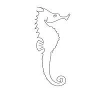 Coloriage Hippocampe à la queue enroulée