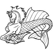 Coloriage Hippocampe à tête de cheval et queue de poisson