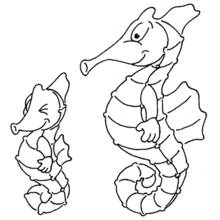 Coloriage Hippocampe père et fiston nageant côte à côte