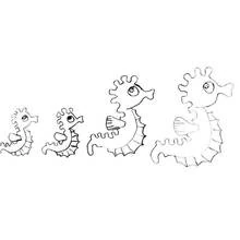 Coloriage Hippocampe en famille de tailles croissantes