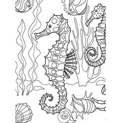 Coloriage Hippocampe entouré de coraux et coquillages