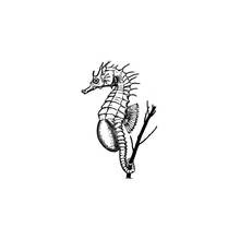 Coloriage Hippocampe enroulé autour d'une branche