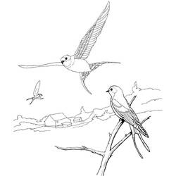 Coloriage Hirondelle perchée près de deux hirondelles en vol