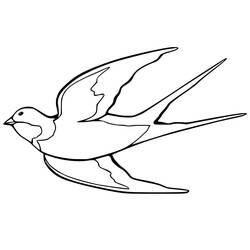 Coloriage Hirondelle volant les ailes déployées