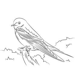 Coloriage Hirondelle perchée sur une branche
