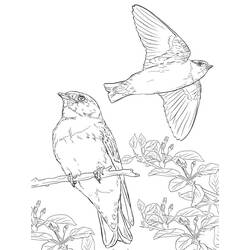 Coloriage Hirondelle en vol avec oiseau perché et fleurs