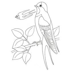 Coloriage Hirondelle perchée sur une branche feuillue