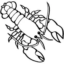 Coloriage Homard aux pinces levées