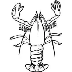 Coloriage Homard vu de dessus avec ses pinces levées