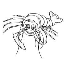 Coloriage Homard au visage souriant