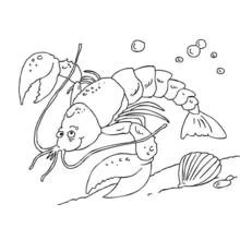 Coloriage Homard aux grosses pinces sous l'eau