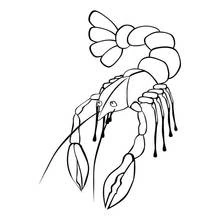 Coloriage Homard aux longues antennes et à la queue enroulée