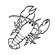 Coloriage Homard aux grosses pinces levées