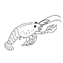 Coloriage Homard aux longues antennes et pinces