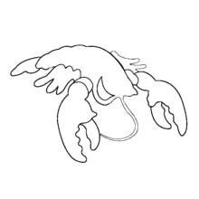 Coloriage Homard aux grosses pinces