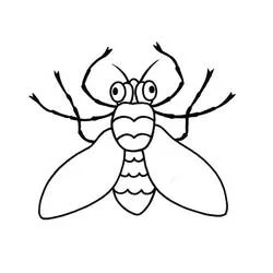 Insecte - Coloriages gratuits à imprimer