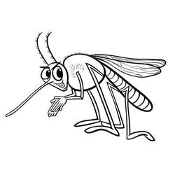 Coloriage Insecte moustique au long trompe