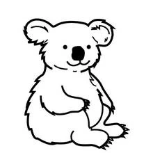 Coloriage Koala assis tranquillement Coloriage Koala assis tranquillement