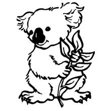 Coloriage Koala tenant une branche d'eucalyptus Coloriage Koala tenant une branche d'eucalyptus