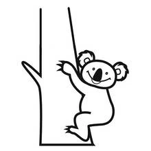 Coloriage Koala grimpant à une branche Coloriage Koala grimpant à une branche