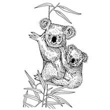 Coloriage Koala portant son petit sur une branche Coloriage Koala portant son petit sur une branche