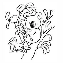Coloriage Koala assis dans un eucalyptus Coloriage Koala assis dans un eucalyptus