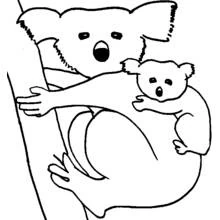 Coloriage Koala mère portant son bébé sur un arbre Coloriage Koala mère portant son bébé sur un arbre