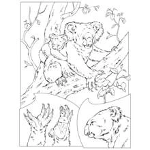 Coloriage Koala avec son petit dans un arbre et détails Coloriage Koala avec son petit dans un arbre et détails