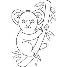 Coloriage Koala accroché à une branche Coloriage Koala accroché à une branche