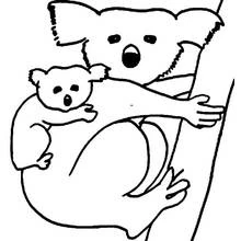 Coloriage Koala portant son bébé sur un tronc d'arbre Coloriage Koala portant son bébé sur un tronc d'arbre