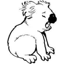 Coloriage Koala assis tranquillement Coloriage Koala assis tranquillement