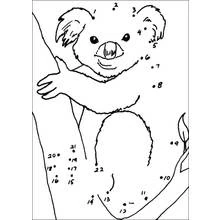 Coloriage Koala agrippé à une branche d'arbre Coloriage Koala agrippé à une branche d'arbre