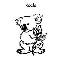 Coloriage Koala tenant une branche d'eucalyptus Coloriage Koala tenant une branche d'eucalyptus