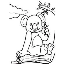 Coloriage Koala assis sur une bûche avec une branche feuillue Coloriage Koala assis sur une bûche avec une branche feuillue