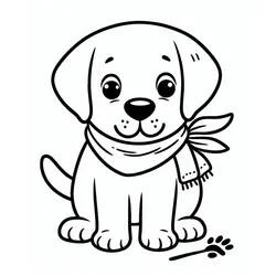 Coloriage Labrador portant une écharpe