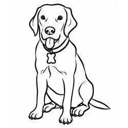 Coloriage Labrador assis, langue tirée