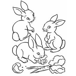 Coloriage Lapin trois lapins autour d'une carotte