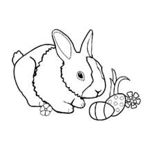 Coloriage Lapin qui renifle un œuf de Pâques