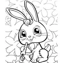 Coloriage Lapin qui mange une carotte parmi les fleurs